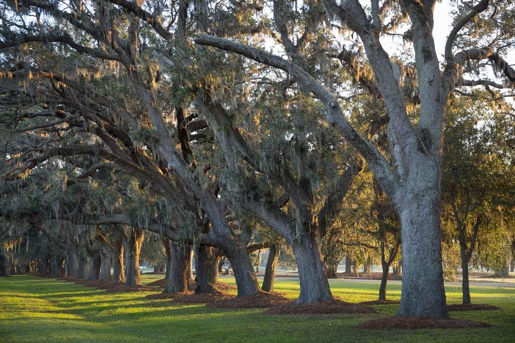 海岛度假屋 St. Simons Island 设施 照片
